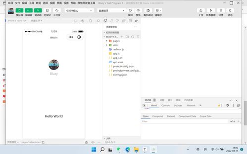 移動(dòng)軟件開(kāi)發(fā) 實(shí)驗(yàn)1 第一個(gè)微信小程序 實(shí)驗(yàn)報(bào)告